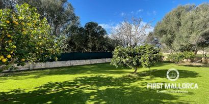 Real Estates picture 22 Ref. R22117