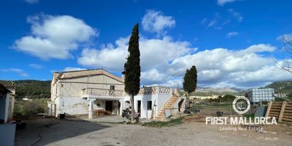 Inmobiliaria picture 0 Ref. Nº. 75799