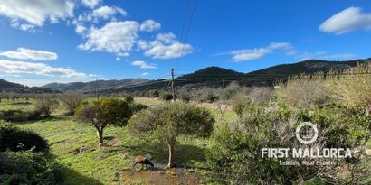 Inmobiliaria picture 1 Ref. Nº. 75799