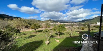 Inmobiliaria picture 5 Ref. Nº. 75799