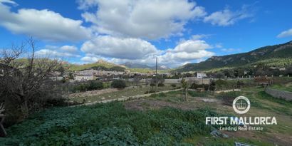 Inmobiliaria picture 3 Ref. Nº. 75799