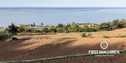 Real Estates picture 13 Ref. Nr. 70011