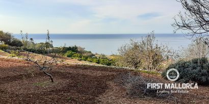 Real Estates picture 9 Ref. Nr. 70011