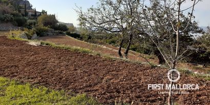 Real Estates picture 11 Ref. Nr. 70011