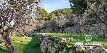 Real Estates picture 8 Ref. Nr. 70011