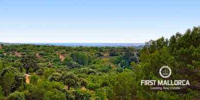 Real Estates picture 10 Ref. 40187