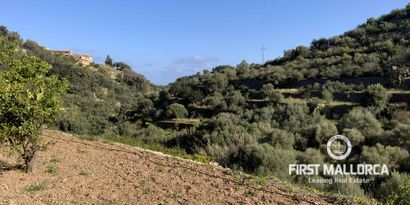 Inmobiliaria picture 3 Ref. Nº. 71144