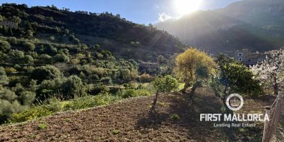 Inmobiliaria picture 1 Ref. Nº. 71144