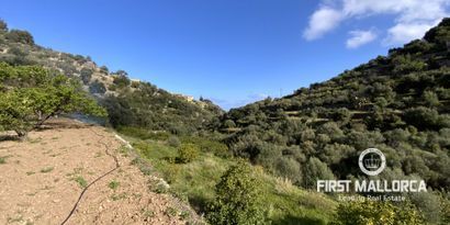 Inmobiliaria picture 2 Ref. Nº. 71144