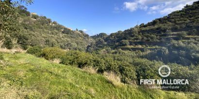 Inmobiliaria picture 0 Ref. Nº. 71144