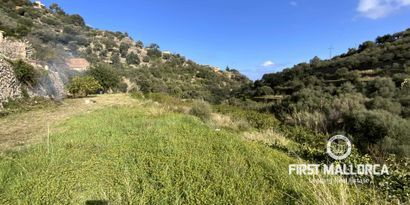 Inmobiliaria picture 4 Ref. Nº. 71144