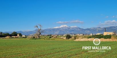 Immobilien picture 0 Ref. Nr. 76214