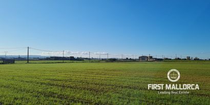 Immobilien picture 5 Ref. Nr. 76214