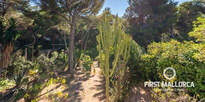 Inmobiliaria picture 24 Ref. Nº. 76456