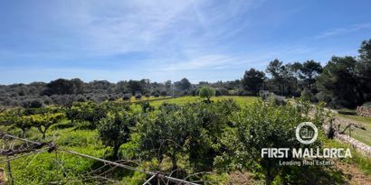 Real Estates picture 27 Ref. 76503