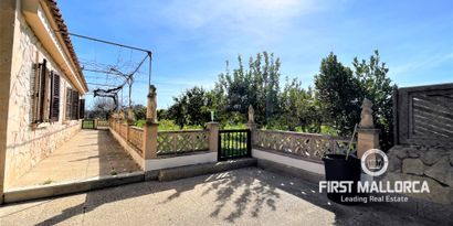 Real Estates picture 2 Ref. 76503