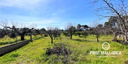 Real Estates picture 14 Ref. 76503