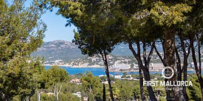 Immobilien picture 7 Ref. Nr. 73192