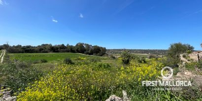 Immobilien picture 3 Ref. Nr. 72041