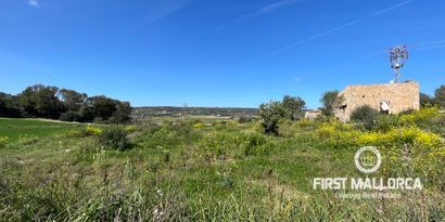 Immobilien picture 0 Ref. Nr. 72041