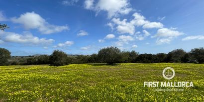 Inmobiliaria picture 5 Ref. Nº. 76561