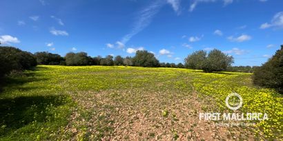 Inmobiliaria picture 0 Ref. Nº. 76561