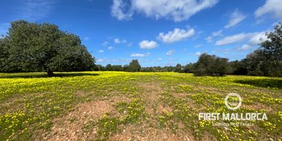 Inmobiliaria picture 3 Ref. Nº. 76561