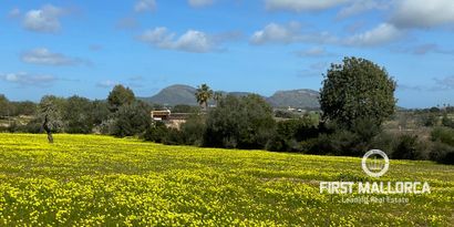 Inmobiliaria picture 2 Ref. Nº. 76561