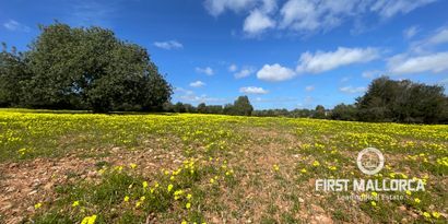 Inmobiliaria picture 6 Ref. Nº. 76561