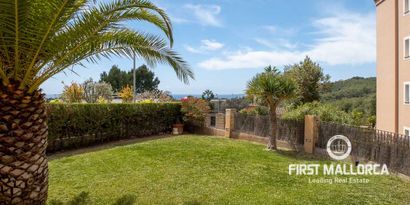 Real Estates picture 0 Ref. 75313