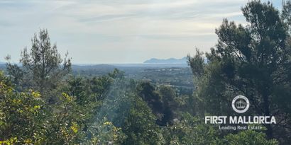 Real Estates picture 21 Ref. R22803