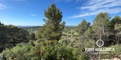 Real Estates picture 22 Ref. R22803