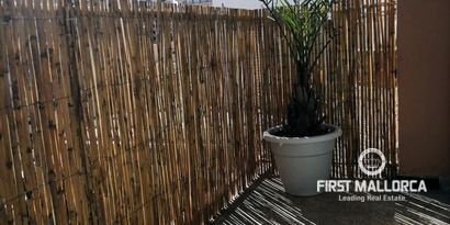 Inmobiliaria picture 10 Ref. Nº. 76875