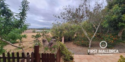 Real Estates picture 16 Ref. R22889