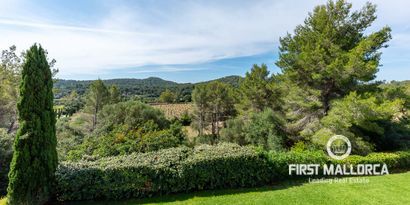 Inmobiliaria picture 37 Ref. Nº. 77049