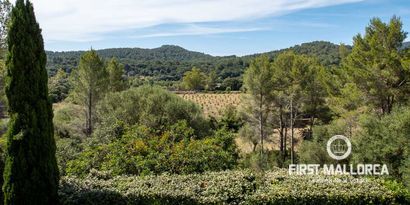 Inmobiliaria picture 38 Ref. Nº. 77049
