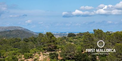 Real Estates picture 23 Ref. 77081