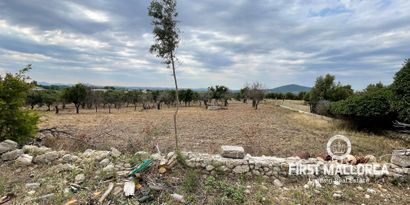Immobilien picture 5 Ref. Nr. 77112
