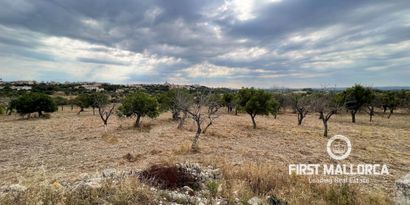 Immobilien picture 6 Ref. Nr. 77112