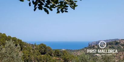 Недвижимость picture 1 Ref 77090