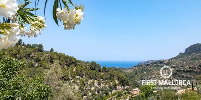 Недвижимость picture 4 Ref 77090