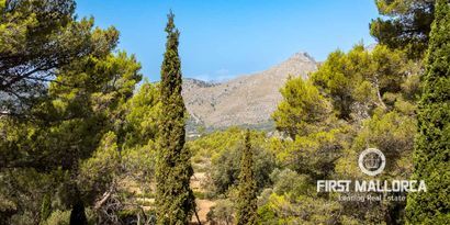 Inmobiliaria picture 23 Ref. Nº. 77063