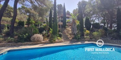 Inmobiliaria picture 4 Ref. Nº. 77063