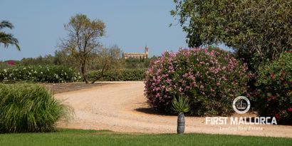 Inmobiliaria picture 43 Ref. Nº. 77290