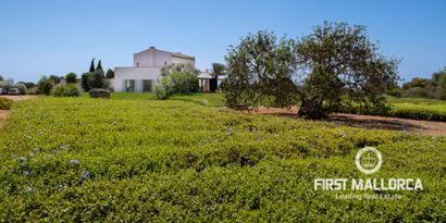 Inmobiliaria picture 40 Ref. Nº. 77290