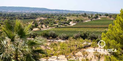 Immobilien picture 17 Ref. Nr. 77539