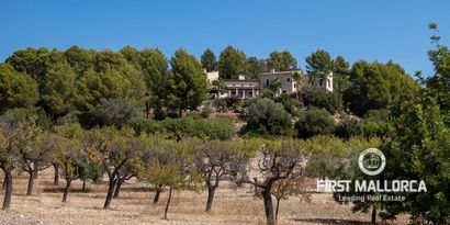 Immobilien picture 2 Ref. Nr. 77539