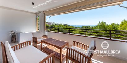 Real Estates picture 2 Ref. 75721