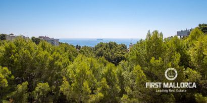 Real Estates picture 15 Ref. 75721