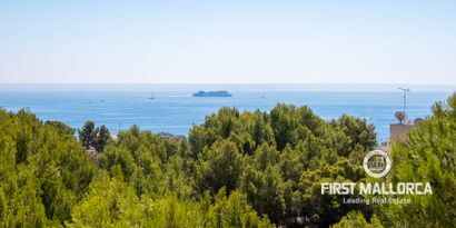 Real Estates picture 3 Ref. 75721